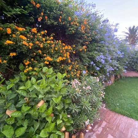 Sanlúcar de Barrameda Apartamento Jardin Sanlucar מראה חיצוני תמונה