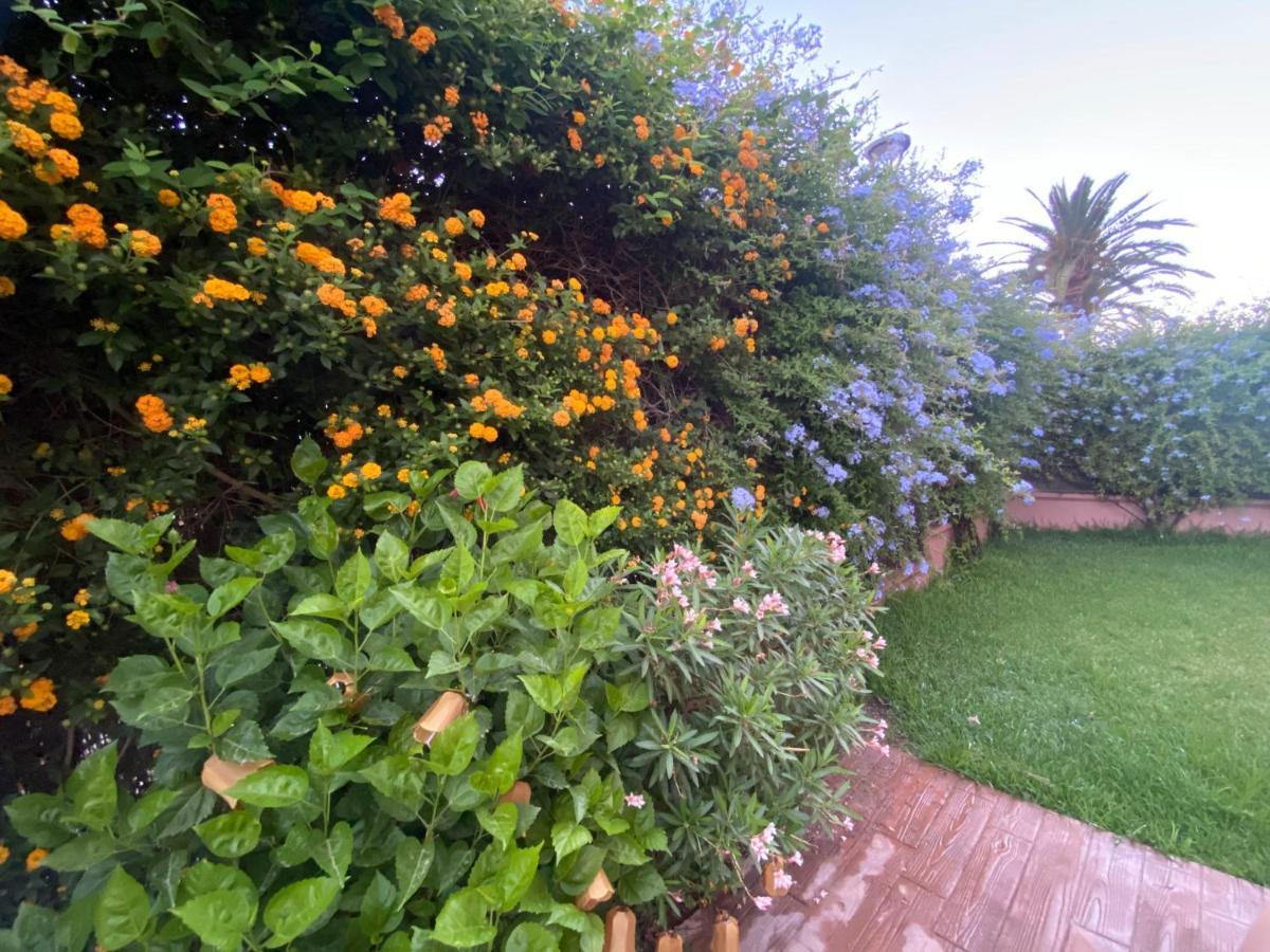 Sanlúcar de Barrameda Apartamento Jardin Sanlucar מראה חיצוני תמונה